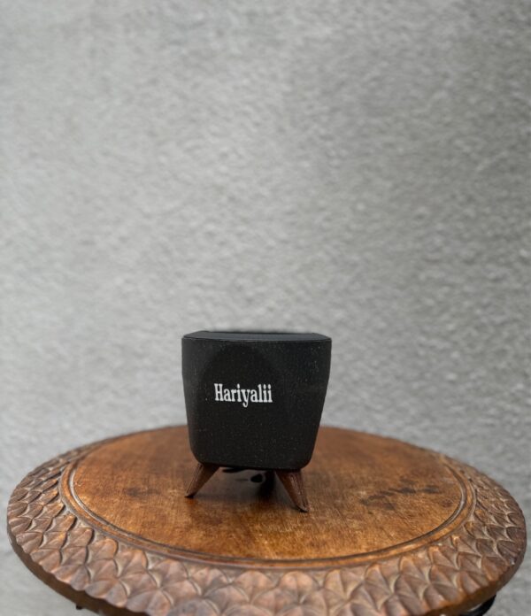 Blossom Nest - Matt Black Pot (Self-Watering)